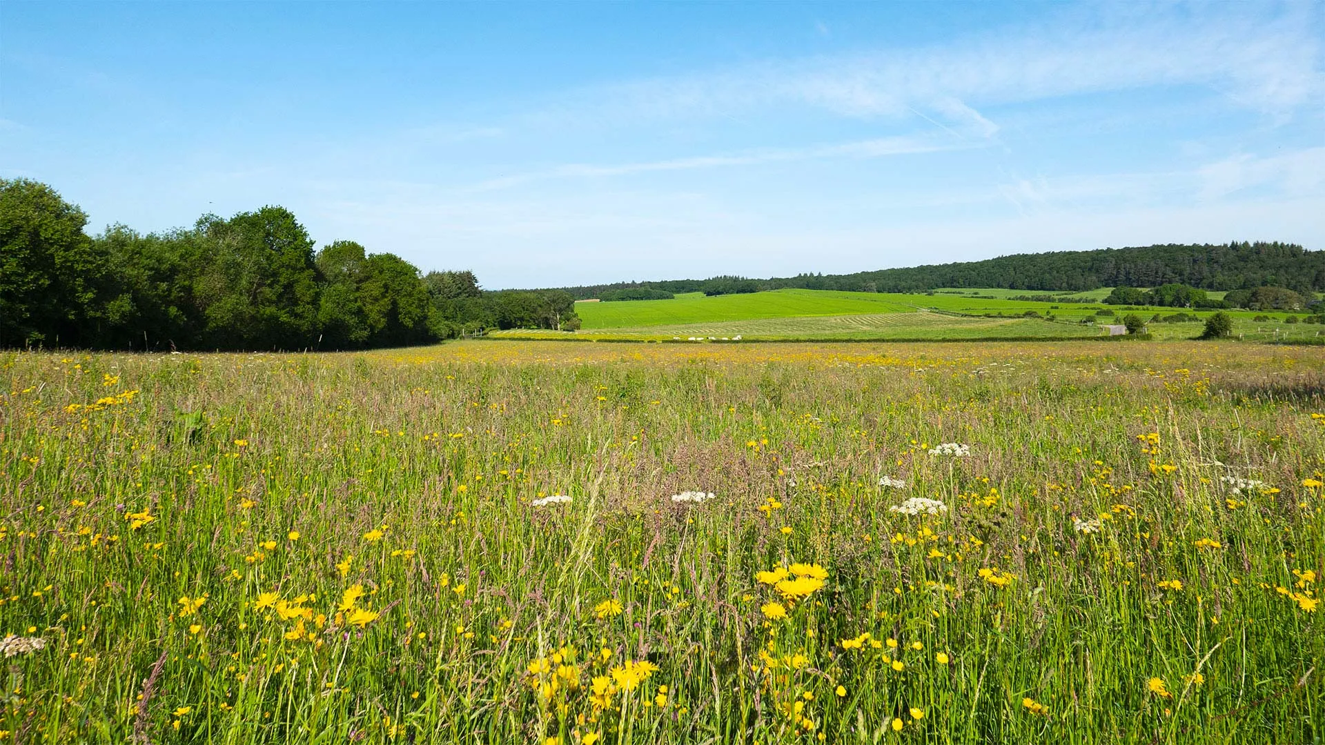 Etude du notaire Catherine LUCY